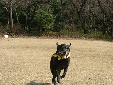 もも１