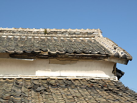 P8244409