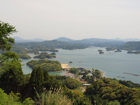 玄海国定公園 イロハ島 の眺めと 花と冒険の島 路傍の花たち