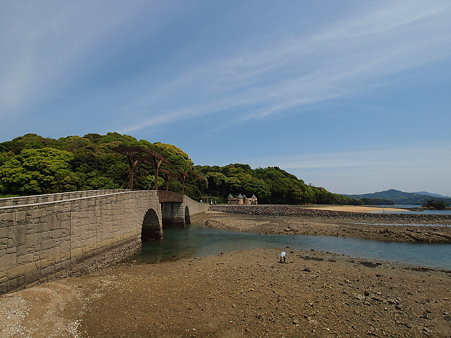 玄海国定公園 イロハ島 の眺めと 花と冒険の島 路傍の花たち