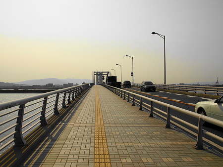 P3293564