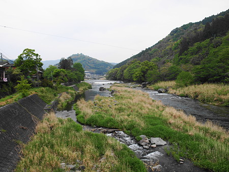 P4275666