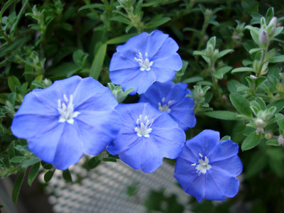 20080806_03