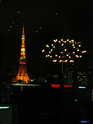 20081114_11