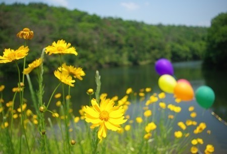 IMGP4288_0527