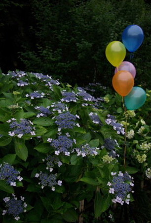 IMGP0005_0617