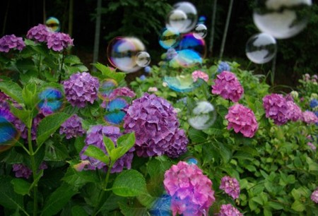 IMGP0079_0617