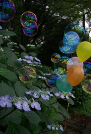 IMGP0286_0617