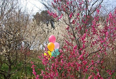 IMGP4123_0309