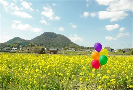 IMGP9306_0322