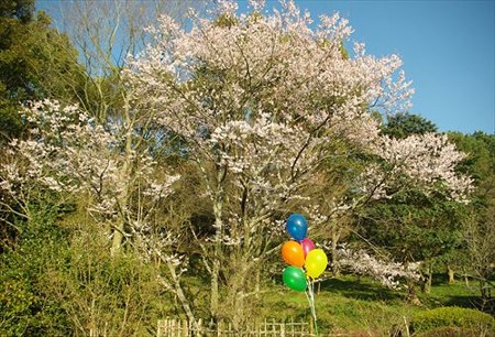 IMGP9645_0322