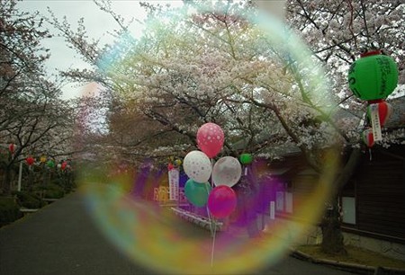 IMGP0172_0329