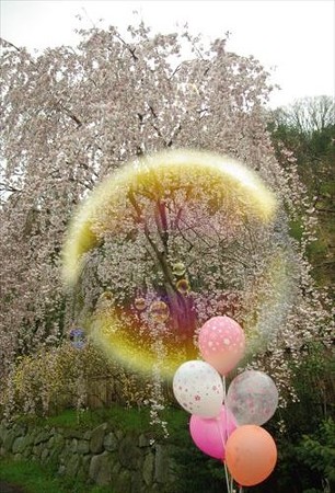 IMGP2606_0406