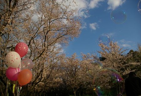 IMGP4025_0406