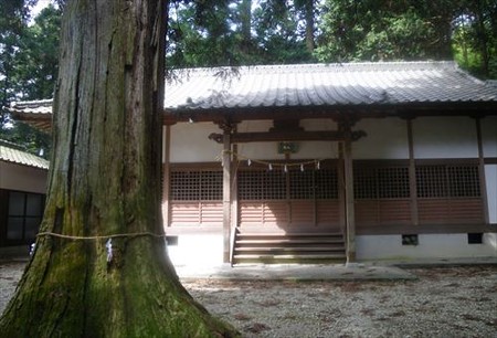 IMGP5294_0518