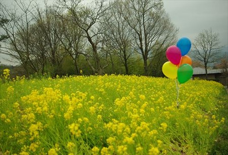 IMGP3567_0412