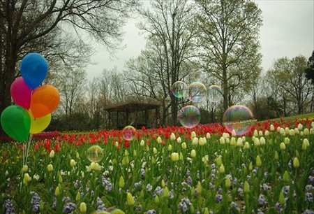 IMGP3801_0412