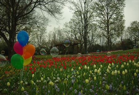 IMGP3827_0412