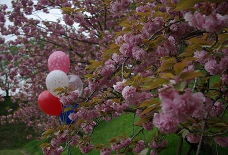 IMGP0001_0419