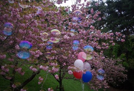 IMGP0160_0419