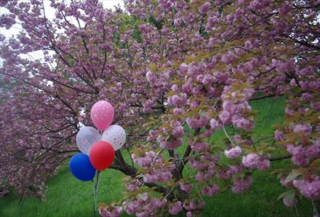 IMGP0224_0419