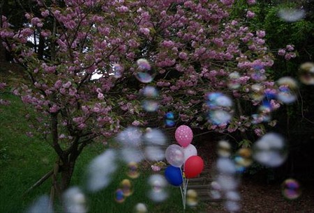IMGP0308_0419