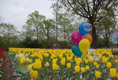 IMGP0034_0420