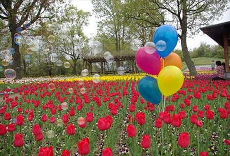 IMGP0064_0420