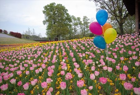 IMGP0094_0420