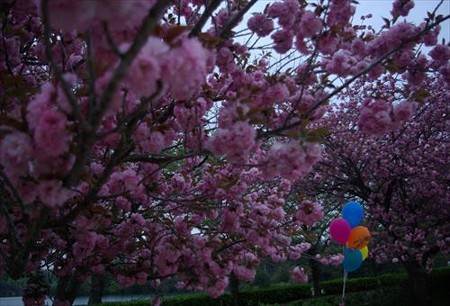 IMGP0478_0420