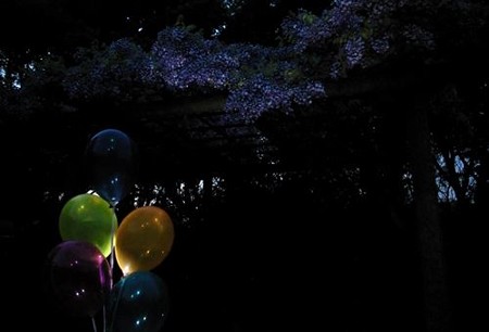 IMGP2440_0425
