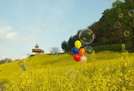 IMGP3892_0427