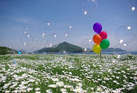 IMGP5011_0504