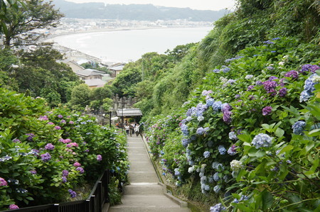 DSC02754