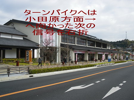 IMGP1103