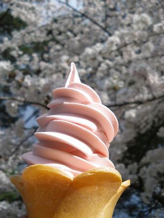 桜ソフト