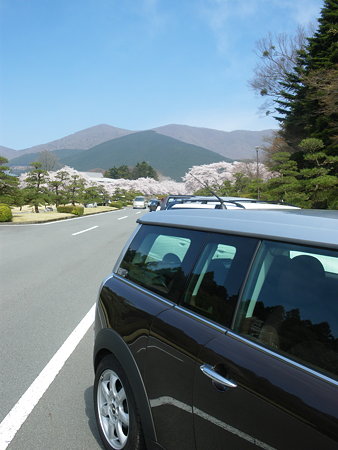 富士霊園とちょこ丸