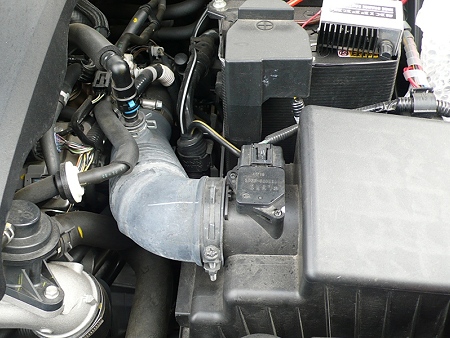 s-P1080966
