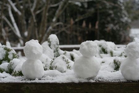 ちいさな雪だるまがいっぱいでした