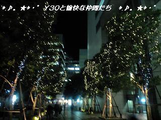 CA3A0078_pa