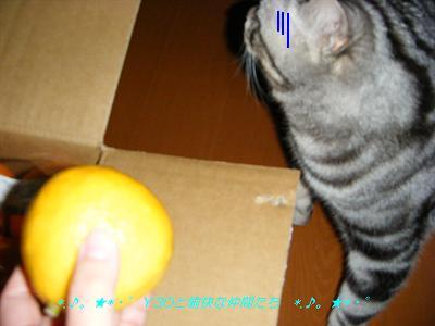 DSCF2666_pa