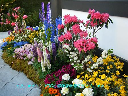 DSCF8099_pa