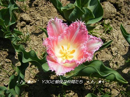 DSCF8042_pa