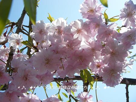 DSCF2979_pa