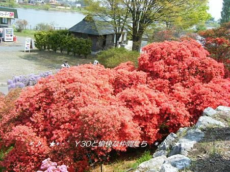 DSCF8253_pa