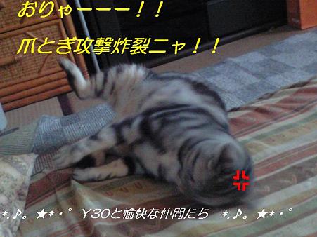 DSCF8316_pa