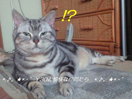 DSCF8314_pa