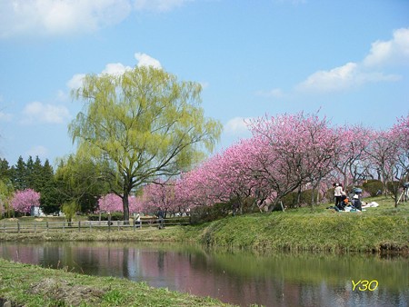 DSCF6419_P