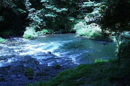 渓流と緑