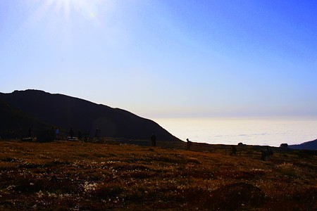 立山室堂　雲海とチングルマの紅葉